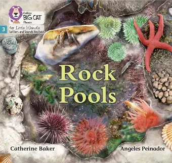 Rock Pools cover