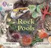 Rock Pools cover