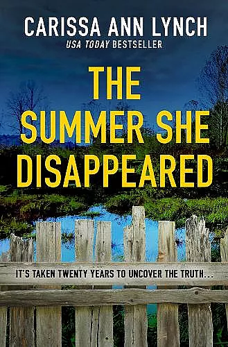 The Summer She Disappeared cover