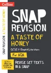 A Taste of Honey AQA GCSE 9-1 English Literature Text Guide cover