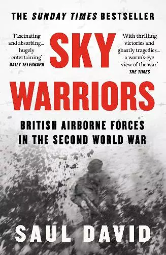 Sky Warriors cover