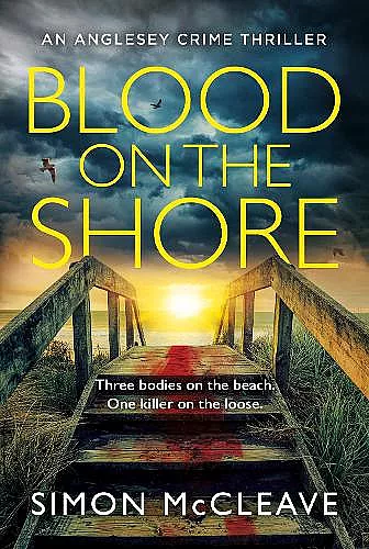 Blood on the Shore cover