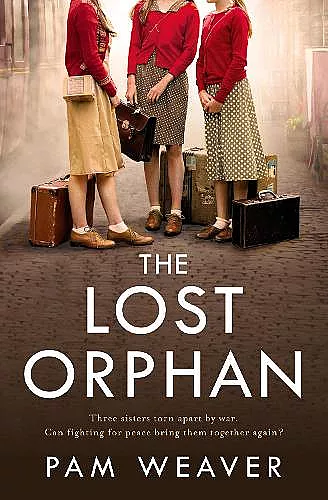 The Lost Orphan cover