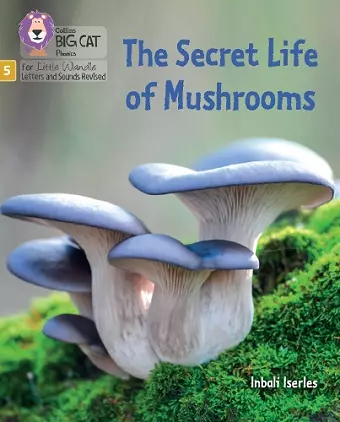 The Secret Life of Mushrooms cover