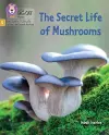 The Secret Life of Mushrooms cover