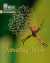 Amazing Webs cover