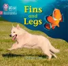 Fins and Legs cover