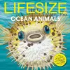 Lifesize Ocean Animals cover