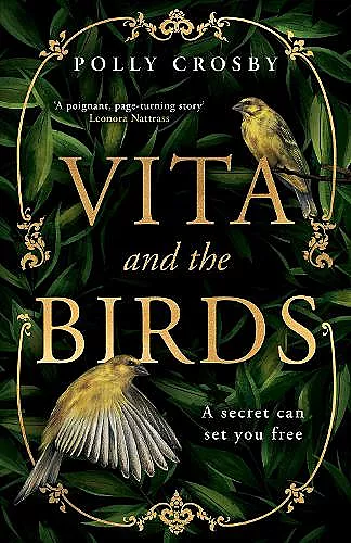 Vita and the Birds cover