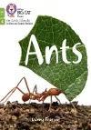 Ants cover