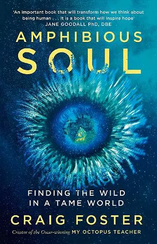 Amphibious Soul cover