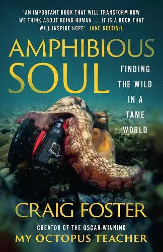 Amphibious Soul cover