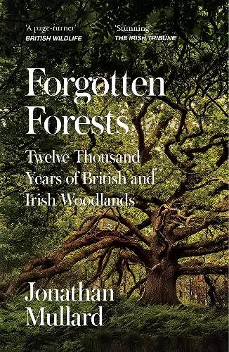 Forgotten Forests cover