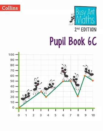 Pupil Book 6C cover