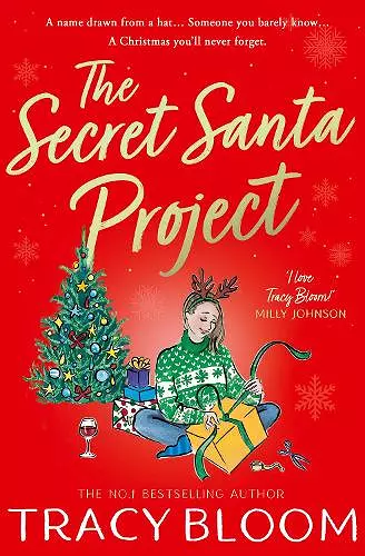 The Secret Santa Project cover