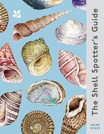 The Shell Spotter’s Guide cover