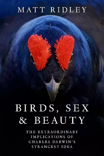 Birds, Sex and Beauty cover