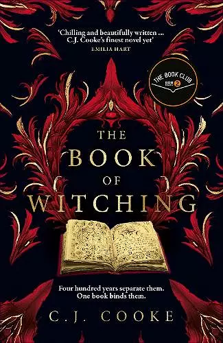 The Book of Witching cover