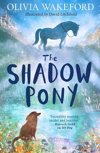 The Shadow Pony cover
