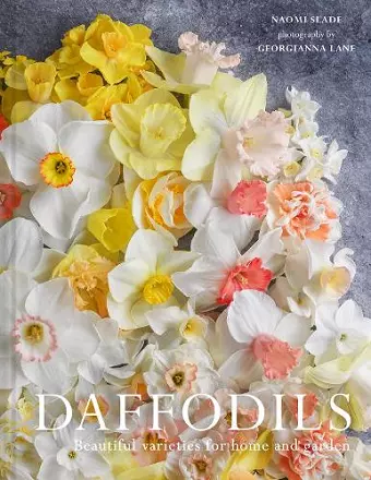 Daffodils cover