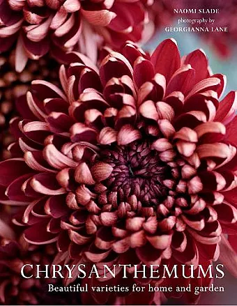 Chrysanthemums cover