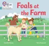 Foals at the Farm cover