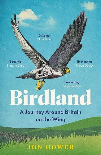 Birdland cover