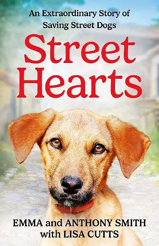 Street Hearts cover