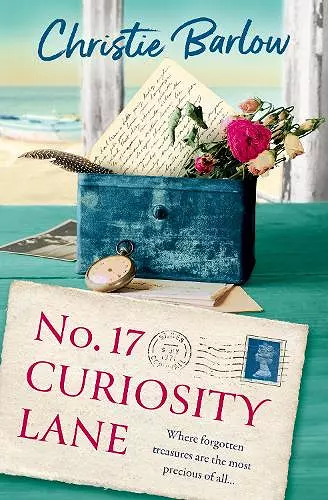No. 17 Curiosity Lane cover