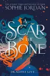 A Scar in the Bone cover