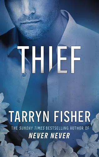 Thief cover