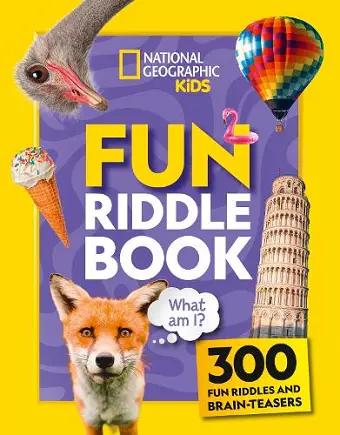 Fun Riddle Book cover