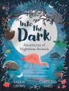Into the Dark cover