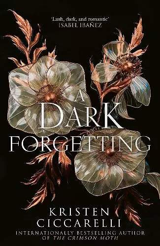 A Dark Forgetting cover
