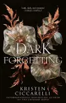 A Dark Forgetting cover