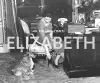 The Times Elizabeth in Photos cover