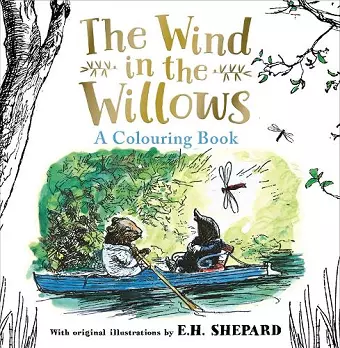 Wind in the Willows Colouring Book cover