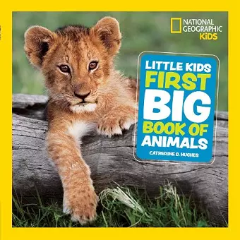 Little Kids First Big Book of Animals cover