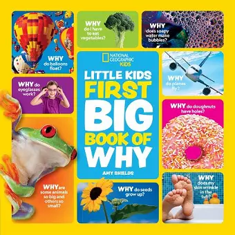 Little Kids First Big Book of Why cover