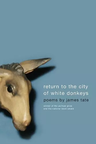 Return To The City Of White Donkeys cover