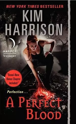 A Perfect Blood cover