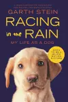 Racing in the Rain cover