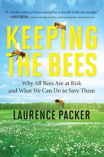 Keeping the Bees cover