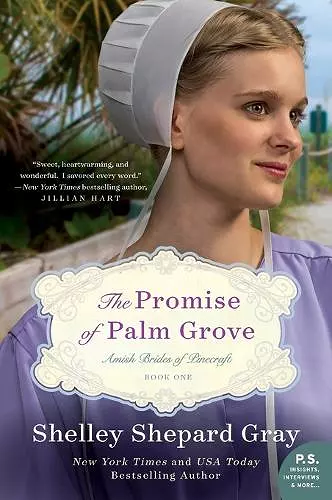 The Promise of Palm Grove cover