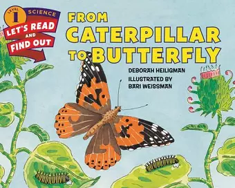 From Caterpillar To Butterfly cover