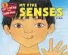 My Five Senses cover