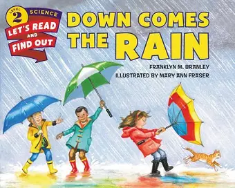 Down Comes the Rain cover