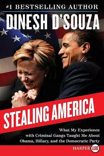 Stealing America LP cover