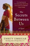 The Secrets Between Us cover