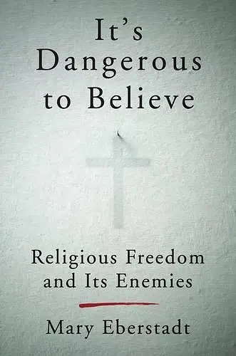 It's Dangerous To Believe cover